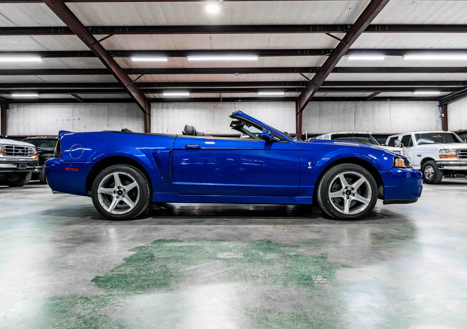 A2003-Ford-Mustang-Cobra-Sonic-Blue-1FAFP49Y33F329966-38.jpg